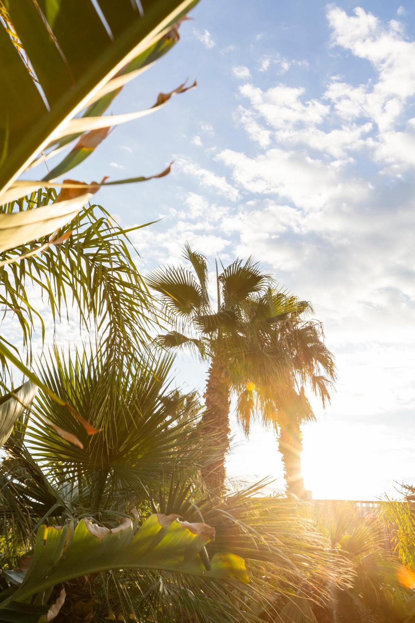 Albades Hotel & Spa (Adults Only) Benicassim Exterior photo