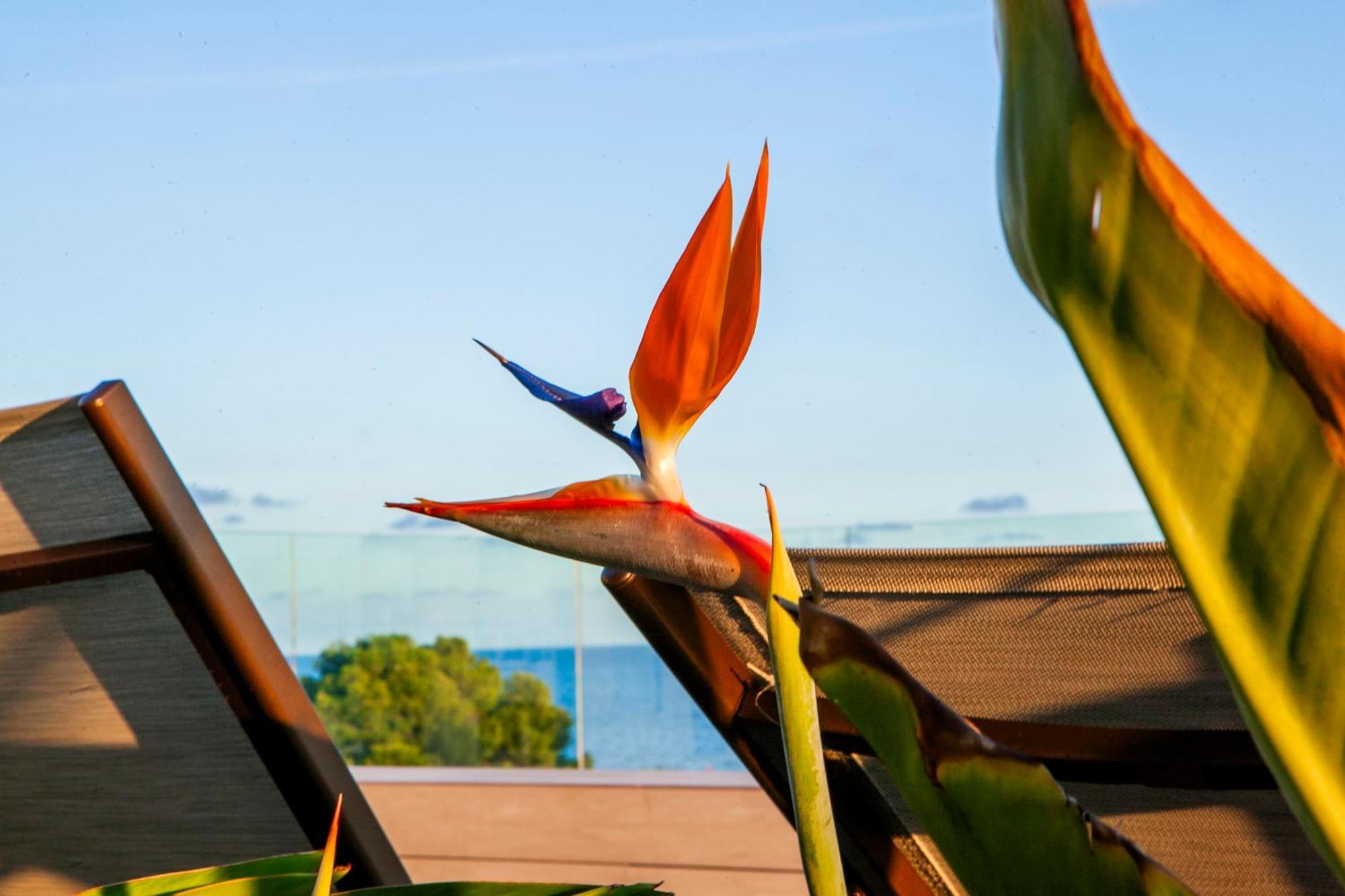 Albades Hotel & Spa (Adults Only) Benicassim Exterior photo